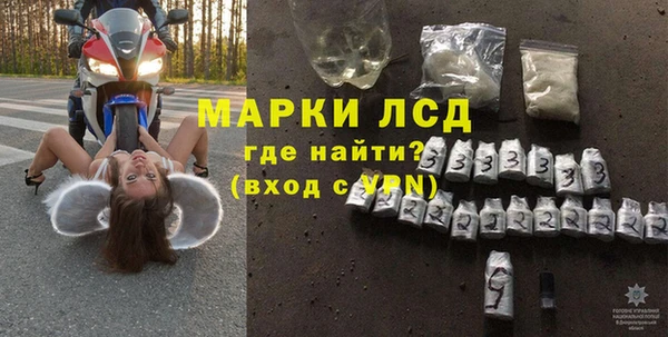 стаф Алзамай