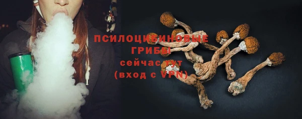 стаф Алзамай