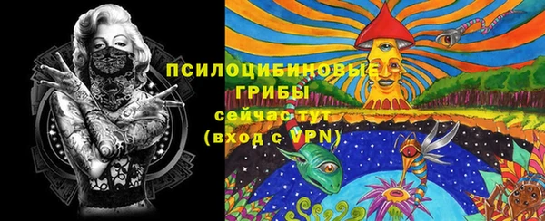 стаф Алзамай