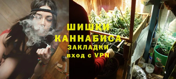 стаф Алзамай