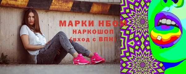 стаф Алзамай