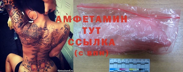 стаф Алзамай