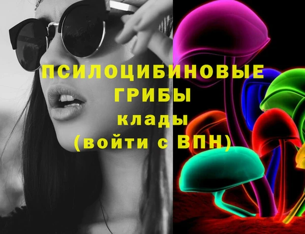хмурый Алексеевка