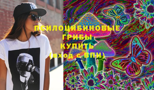 бутират Алексин