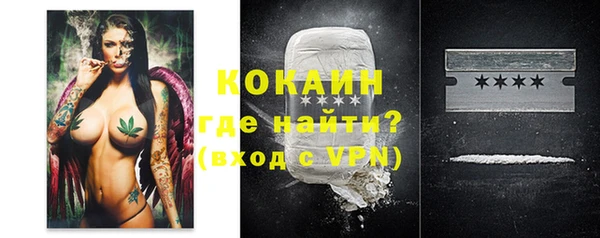 стаф Алзамай